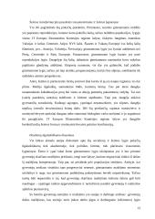 Demografiniai iššūkiai ir politikos atsakas 13 puslapis