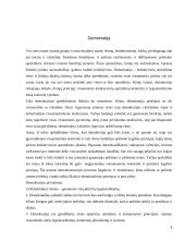 Demokratijos istorija, formos bei principai 4 puslapis