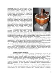 Demokratijos pagrindai 3 puslapis