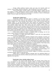 Demokratijos pagrindai 6 puslapis