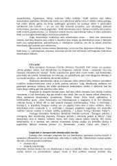 Demokratijos pagrindai 8 puslapis