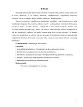 Demokratijos raida 3 puslapis