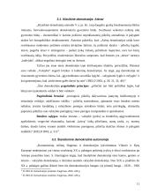 Demokratijos samprata 11 puslapis