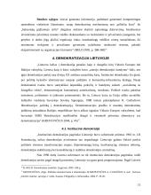 Demokratijos samprata 13 puslapis