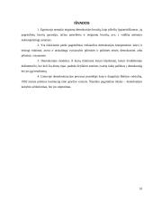 Demokratijos samprata 16 puslapis