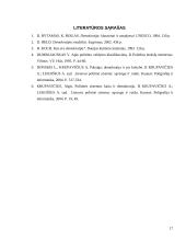 Demokratijos samprata 17 puslapis