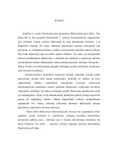 Demokratizacijos pasiekimai Baltarusijoje