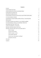 Depresinių regionų problemų sprendimo būdai Europos sąjungos kontekste 2 puslapis
