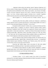 Depresinių regionų problemų sprendimo būdai Europos sąjungos kontekste 11 puslapis