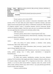 Depresinių regionų problemų sprendimo būdai Europos sąjungos kontekste 13 puslapis