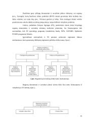 Depresinių regionų problemų sprendimo būdai Europos sąjungos kontekste 19 puslapis