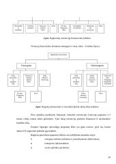 Depresinių regionų problemų sprendimo būdai Europos sąjungos kontekste 20 puslapis