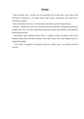 Derybų tema 2 puslapis