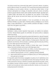 Derybų tema 11 puslapis