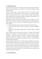 Derybų tema 12 puslapis