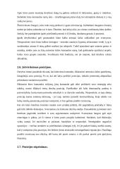 Derybų tema 13 puslapis