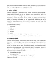 Derybų tema 4 puslapis