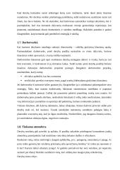 Derybų tema 7 puslapis