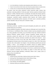 Derybų tema 8 puslapis