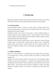 Derybų tema 10 puslapis