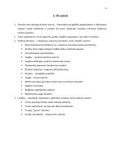 Derybos Anglijoje ir Graikijoje 13 puslapis