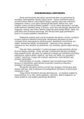 Derybos ir interviu 3 puslapis