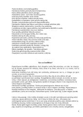 Derybų menas 8 puslapis