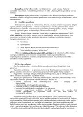 Derybų organizavimas 12 puslapis