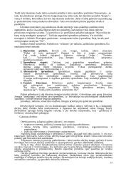 Derybų organizavimas 13 puslapis