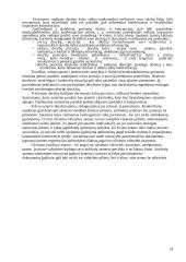 Derybų organizavimas 14 puslapis