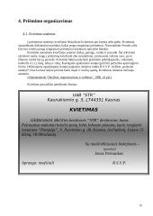 Derybų organizavimas 15 puslapis