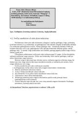 Derybų organizavimas 17 puslapis