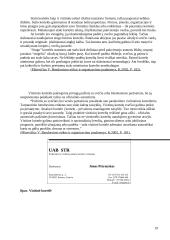 Derybų organizavimas 19 puslapis