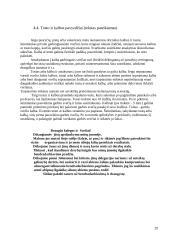 Derybų organizavimas 20 puslapis