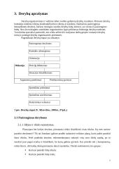 Derybų organizavimas 7 puslapis