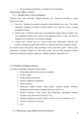 Derybų organizavimas 8 puslapis