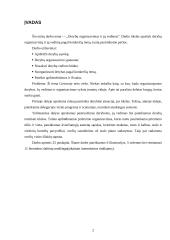 Derybų organizavimas ir jų vedimas - pagrindinės problemos ir iššūkiai 2 puslapis