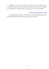 Derybų organizavimas ir jų vedimas - pagrindinės problemos ir iššūkiai 13 puslapis