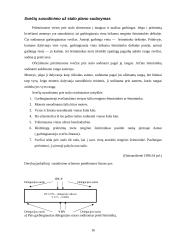 Derybų organizavimas ir jų vedimas - pagrindinės problemos ir iššūkiai 16 puslapis