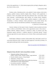 Derybų organizavimas ir jų vedimas - pagrindinės problemos ir iššūkiai 5 puslapis