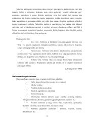 Derybų organizavimas ir jų vedimas - pagrindinės problemos ir iššūkiai 8 puslapis