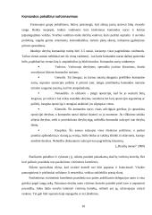 Derybų organizavimas ir jų vedimas - pagrindinės problemos ir iššūkiai 10 puslapis