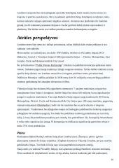 Didžiosios Britanijos geležinkelio transporto sistema 20 puslapis