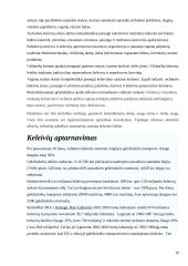 Didžiosios Britanijos geležinkelio transporto sistema 10 puslapis