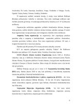 Didžiosios Britanijos geopolitinė padėtis 8 puslapis