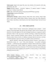 Didžiosios Britanijos valdymas 7 puslapis