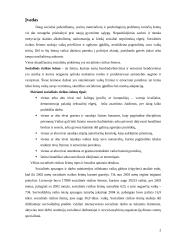 Dienos centrai vaikams, priklausantiems rizikos šeimoms 2 puslapis