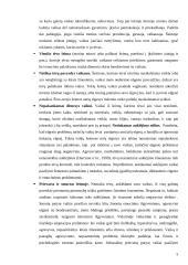 Dienos centrai vaikams, priklausantiems rizikos šeimoms 5 puslapis