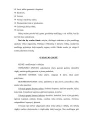 Dieta pagal kraujo grupes 7 puslapis