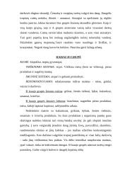 Dieta pagal kraujo grupes 9 puslapis